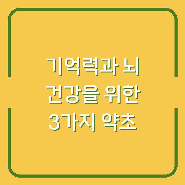 기억력과 뇌 건강을 위한 3가지 약초