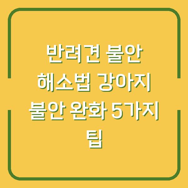 반려견 불안 해소법 강아지 불안 완화 5가지 팁