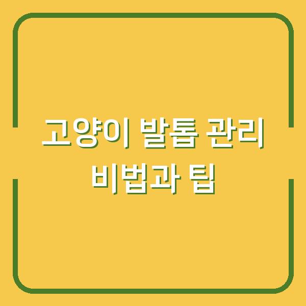 고양이 발톱 관리 비법과 팁