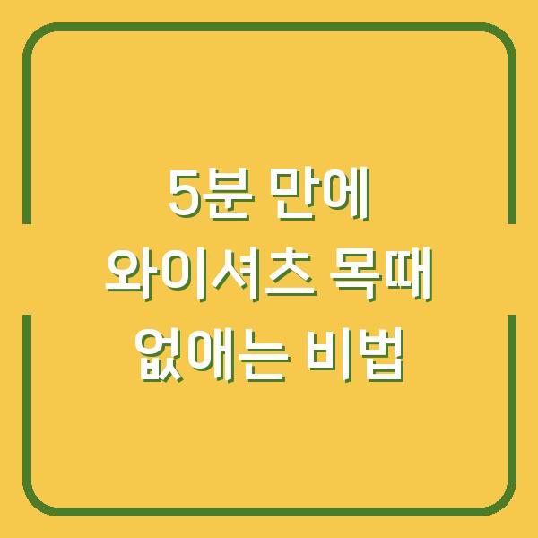 5분 만에 와이셔츠 목때 없애는 비법