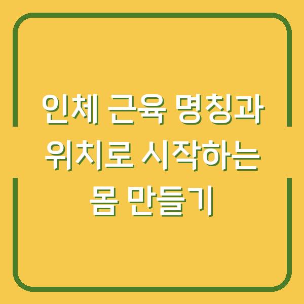 인체 근육 명칭과 위치로 시작하는 몸 만들기
