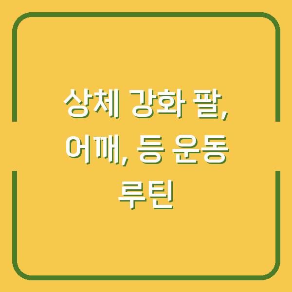 상체 강화 팔, 어깨, 등 운동 루틴