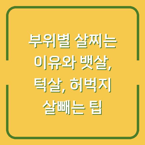 부위별 살찌는 이유와 뱃살, 턱살, 허벅지 살빼는 팁