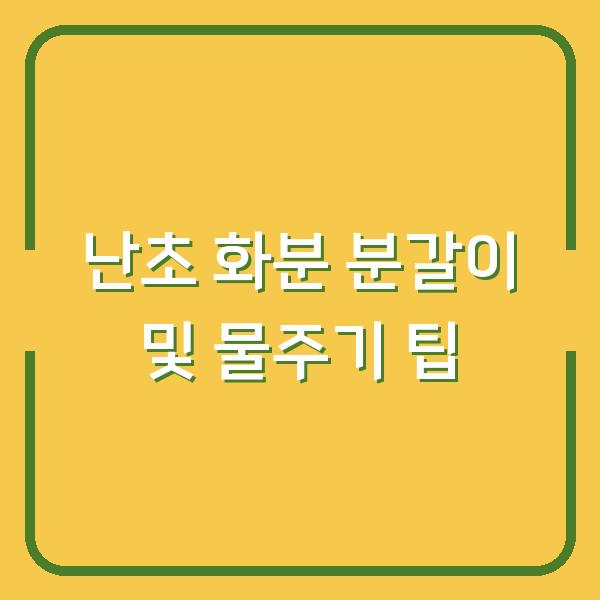 난초 화분 분갈이 및 물주기 팁