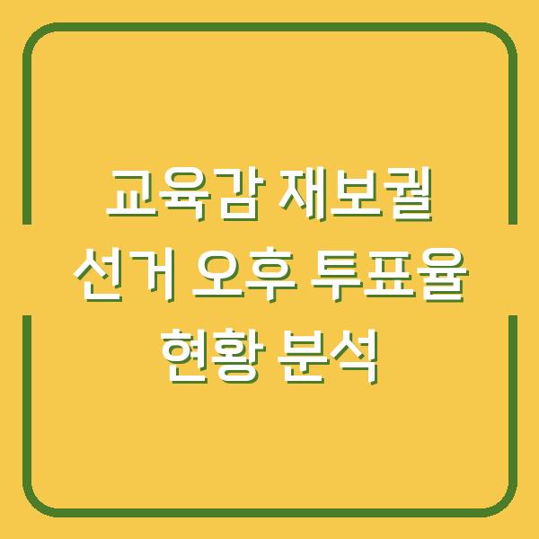 교육감 재보궐 선거 오후 투표율 현황 분석