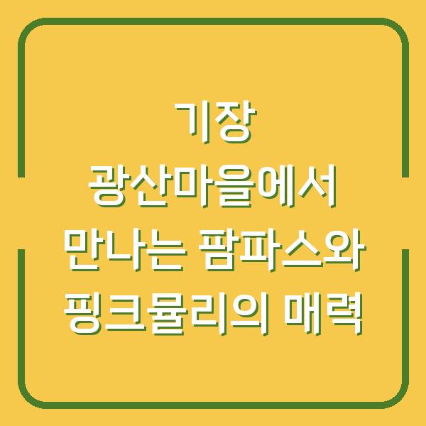 기장 광산마을에서 만나는 팜파스와 핑크뮬리의 매력