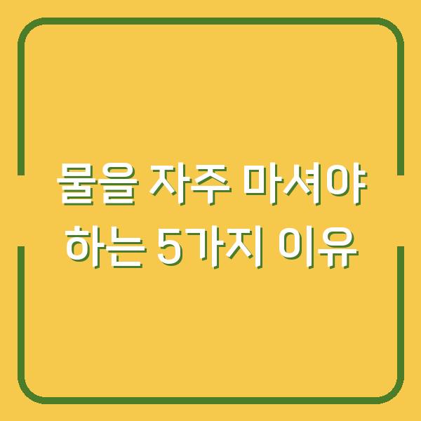 물을 자주 마셔야 하는 5가지 이유