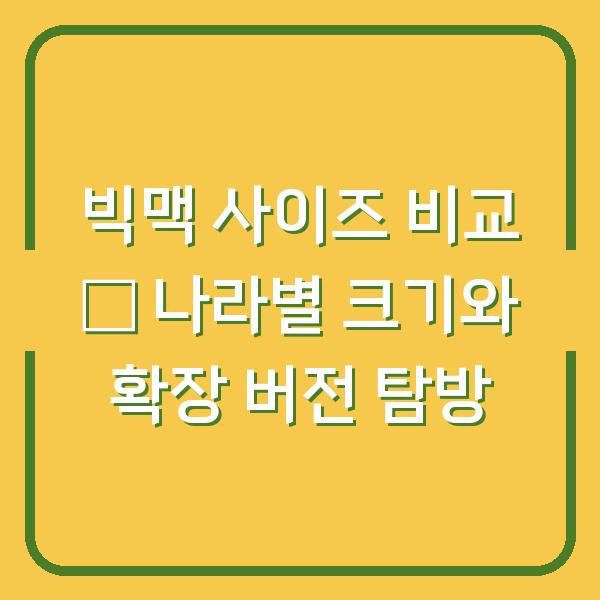 빅맥 사이즈 비교 – 나라별 크기와 확장 버전 탐방