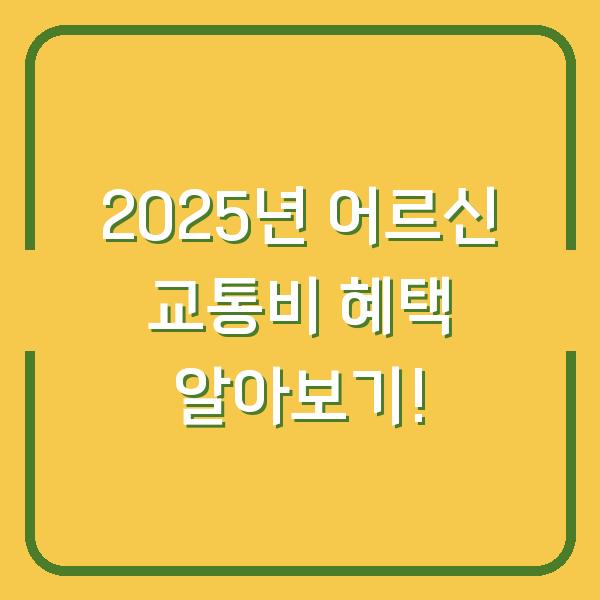 2025년 어르신 교통비 혜택 알아보기!