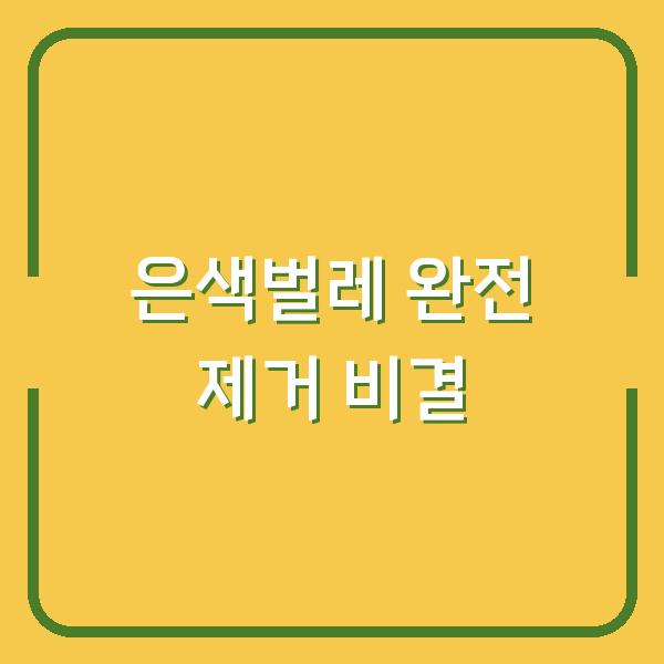 은색벌레 완전 제거 비결