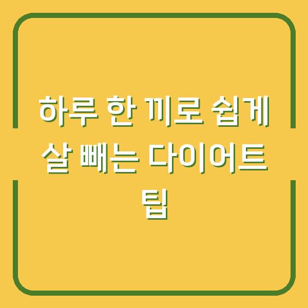하루 한 끼로 쉽게 살 빼는 다이어트 팁