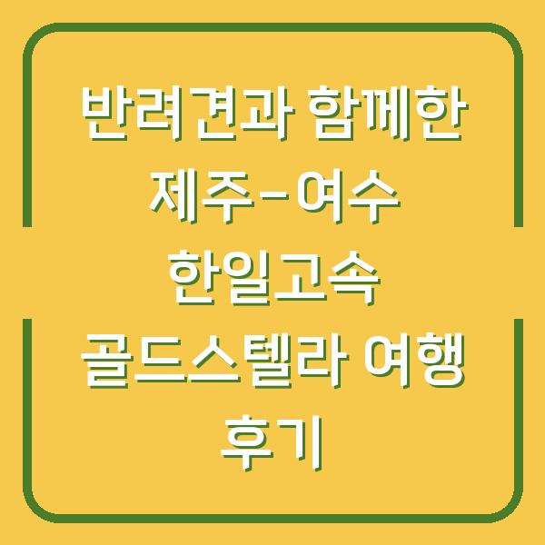 반려견과 함께한 제주-여수 한일고속 골드스텔라 여행 후기