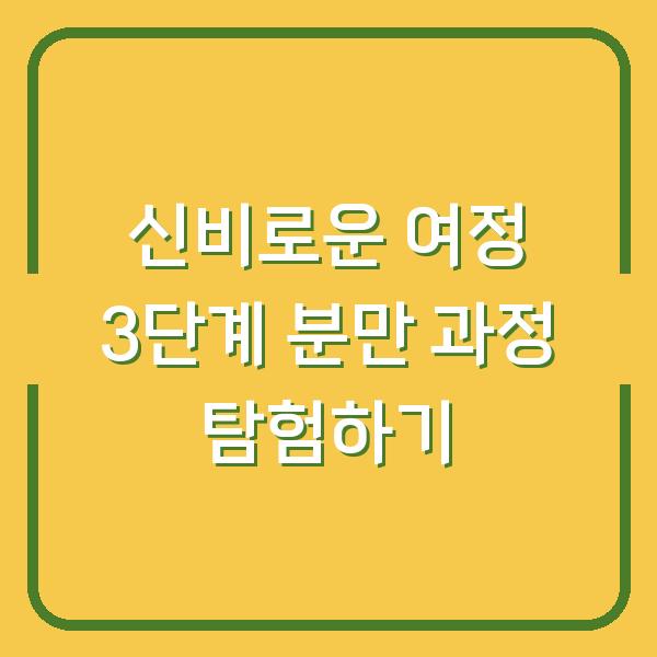 신비로운 여정 3단계 분만 과정 탐험하기