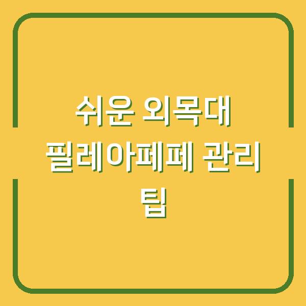쉬운 외목대 필레아페페 관리 팁