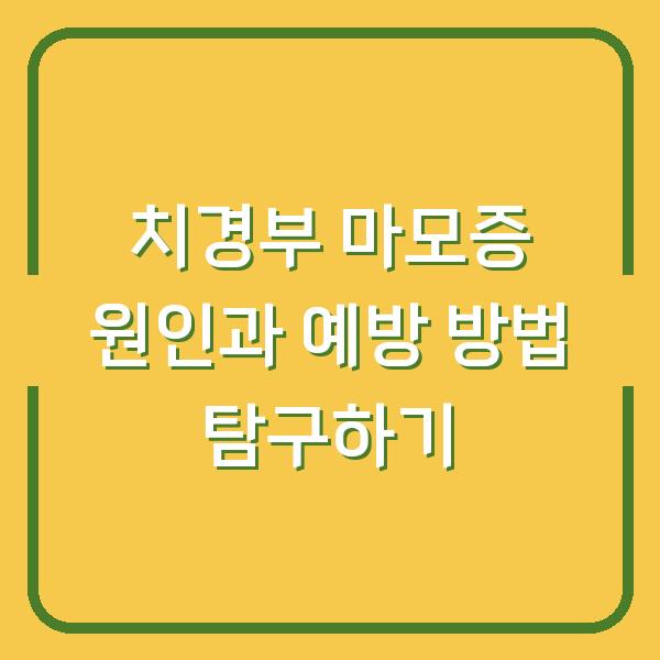 치경부 마모증 원인과 예방 방법 탐구하기