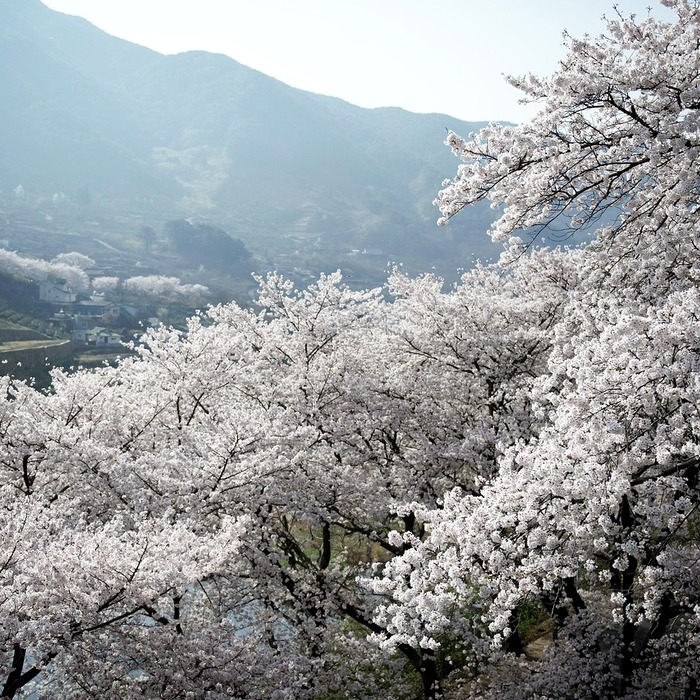지리산 둘레길 풍경