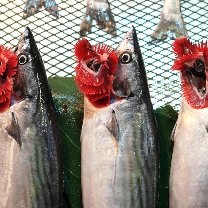 카무트 효능