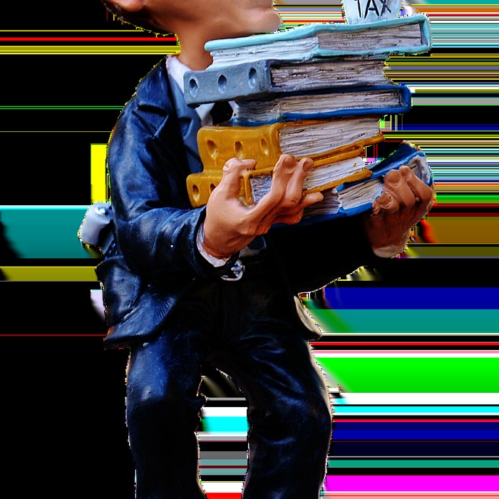 세금 신고서