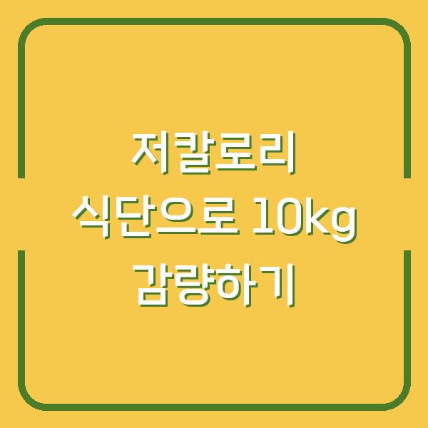 저칼로리 식단으로 10kg 감량하기