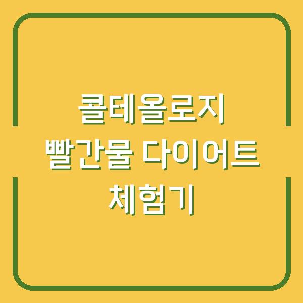 콜테올로지 빨간물 다이어트 체험기