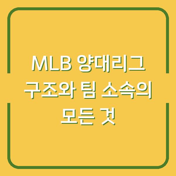 MLB 양대리그 구조와 팀 소속의 모든 것