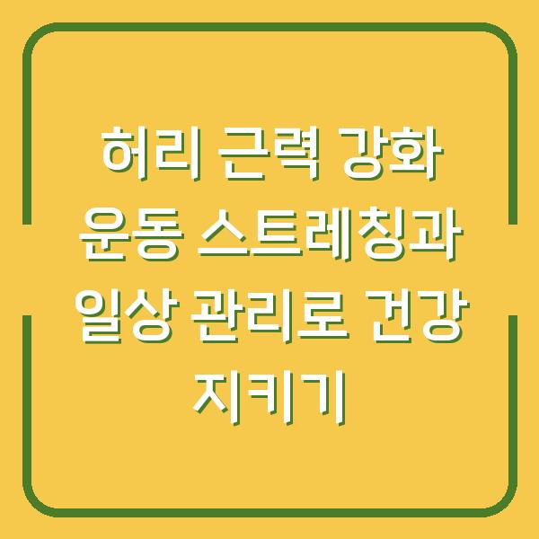 허리 근력 강화 운동 스트레칭과 일상 관리로 건강 지키기