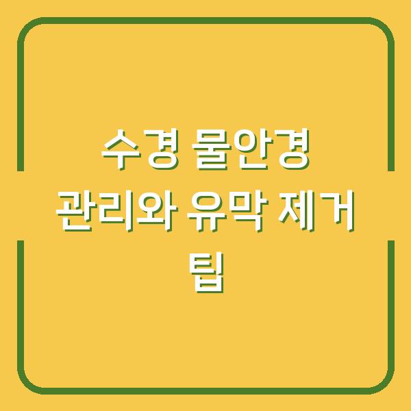 수경 물안경 관리와 유막 제거 팁