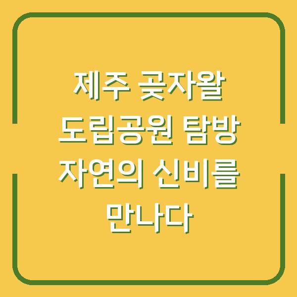 제주 곶자왈 도립공원 탐방 자연의 신비를 만나다