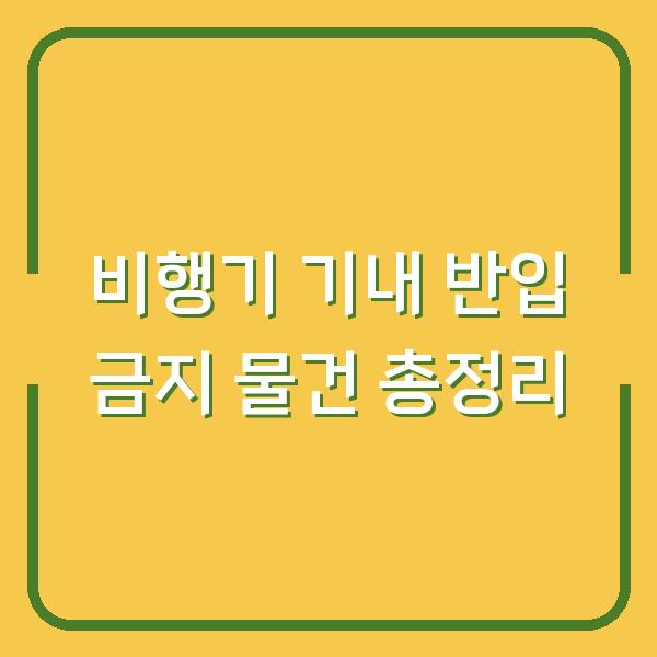 비행기 기내 반입 금지 물건 총정리