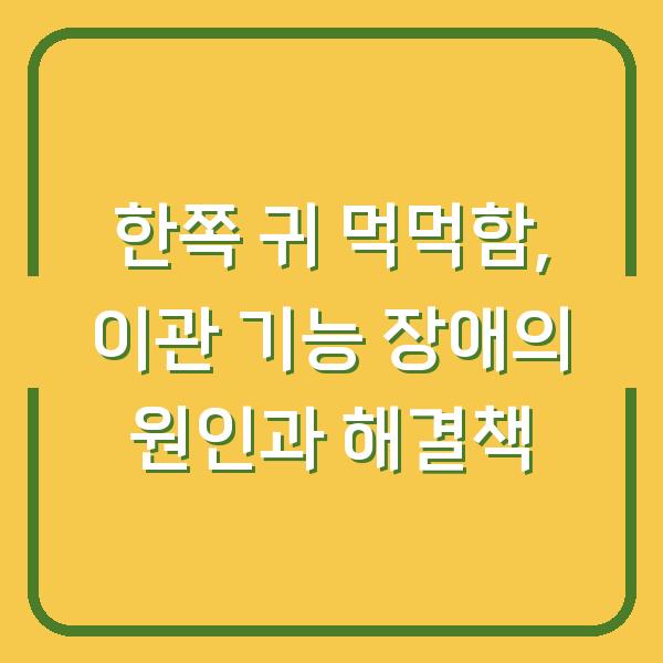 한쪽 귀 먹먹함, 이관 기능 장애의 원인과 해결책