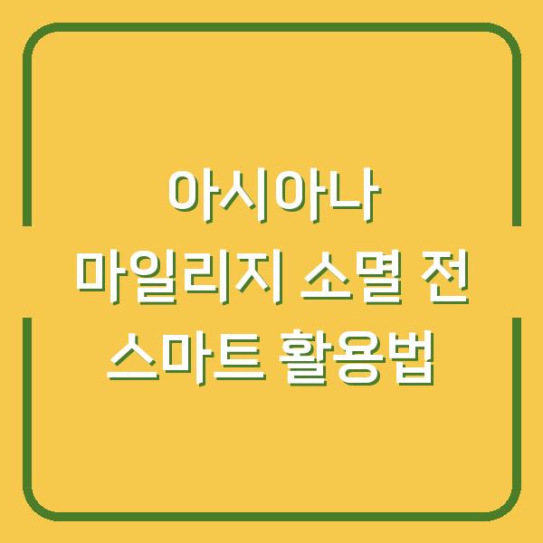 아시아나 마일리지 소멸 전 스마트 활용법