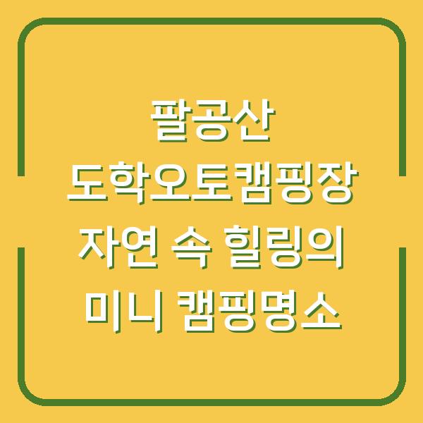 팔공산 도학오토캠핑장 자연 속 힐링의 미니 캠핑명소