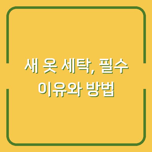 새 옷 세탁, 필수 이유와 방법
