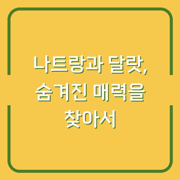 나트랑과 달랏, 숨겨진 매력을 찾아서