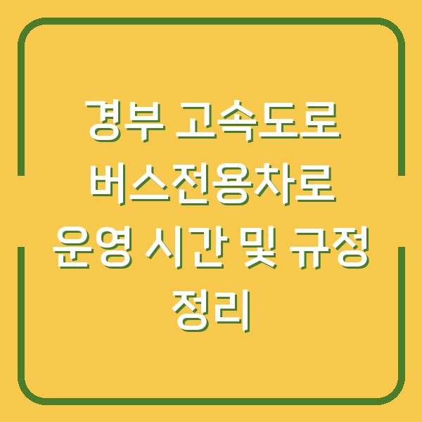 경부 고속도로 버스전용차로 운영 시간 및 규정 정리