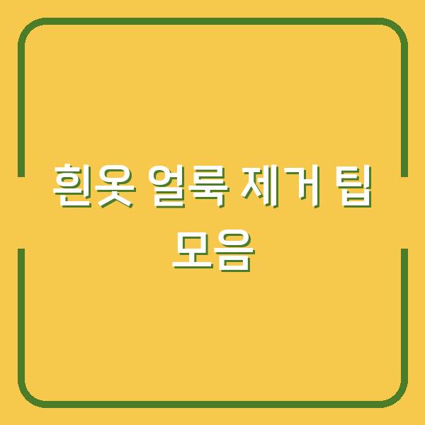 흰옷 얼룩 제거 팁 모음
