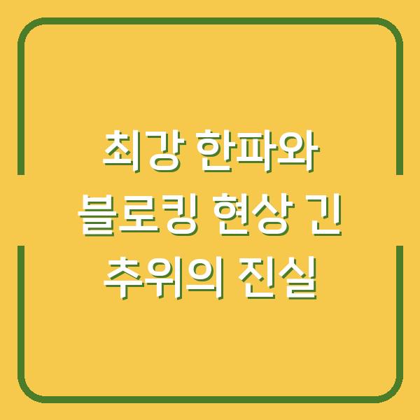 최강 한파와 블로킹 현상 긴 추위의 진실