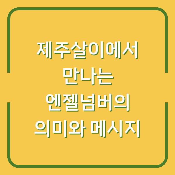 제주살이에서 만나는 엔젤넘버의 의미와 메시지