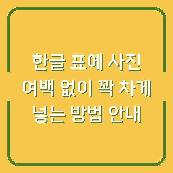 한글 표에 사진 여백 없이 꽉 차게 넣는 방법 안내