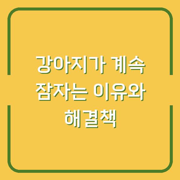 강아지가 계속 잠자는 이유와 해결책