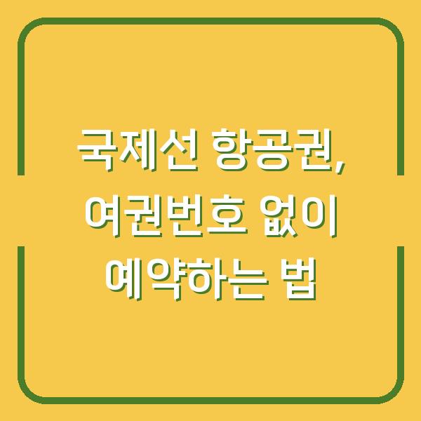 국제선 항공권, 여권번호 없이 예약하는 법