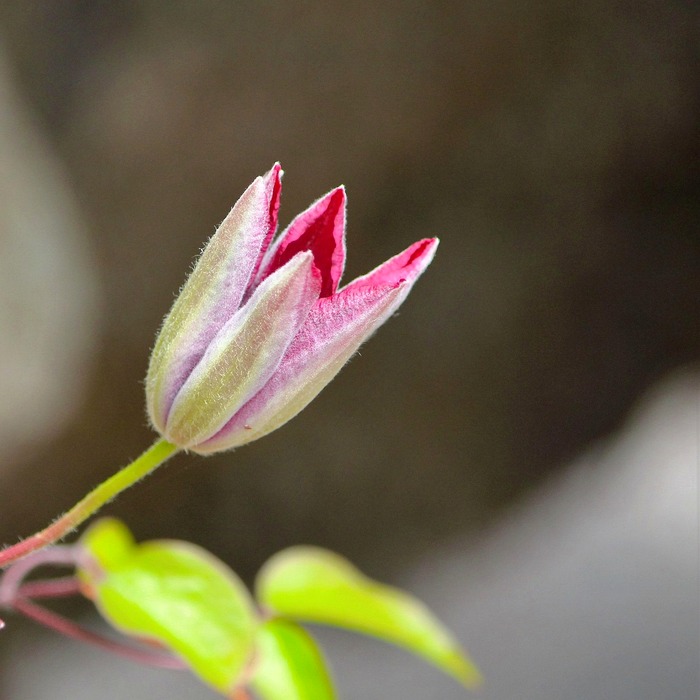 주식 초보자 정보