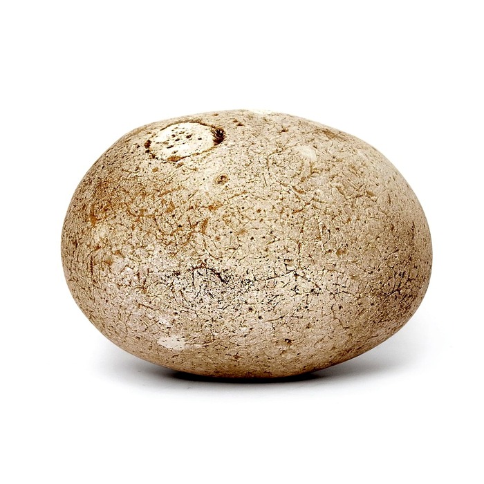 건강보험료 계산법