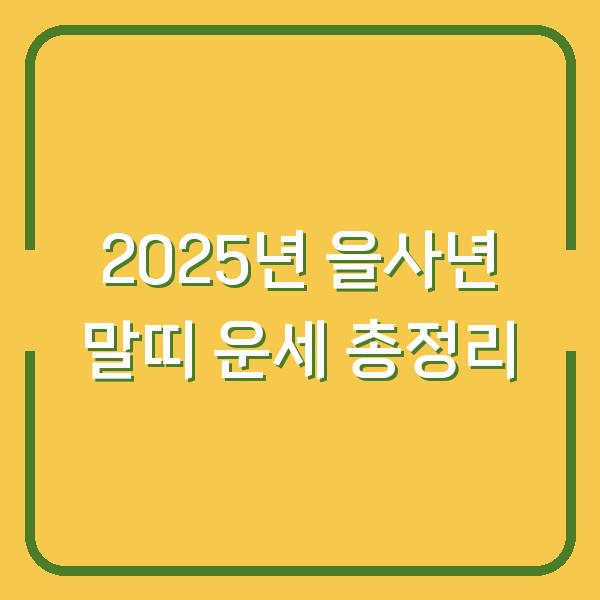 2025년 을사년 말띠 운세 총정리
