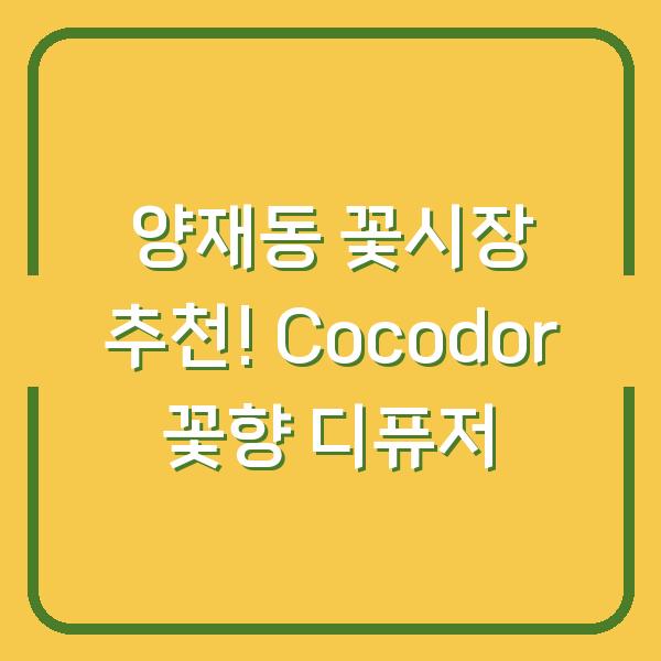 양재동 꽃시장 추천! Cocodor 꽃향 디퓨저