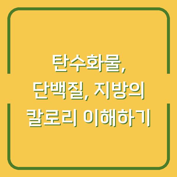 탄수화물, 단백질, 지방의 칼로리 이해하기