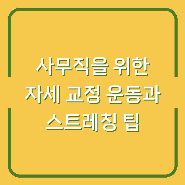 사무직을 위한 자세 교정 운동과 스트레칭 팁