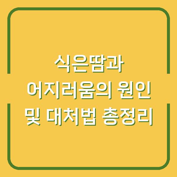 식은땀과 어지러움의 원인 및 대처법 총정리