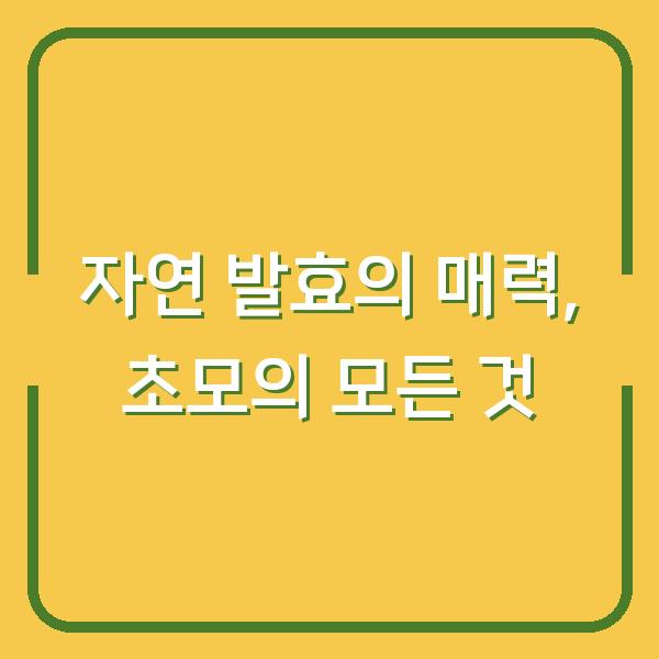 자연 발효의 매력, 초모의 모든 것