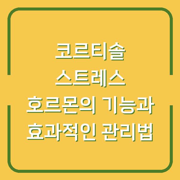 코르티솔 스트레스 호르몬의 기능과 효과적인 관리법